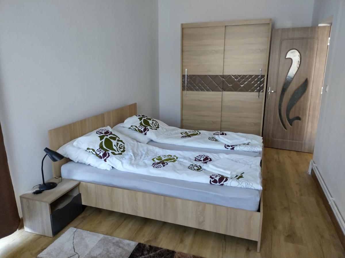 Tsg Apartament 2 Valea lui Mihai Buitenkant foto